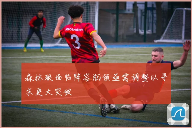 森林狼面临阵容瓶颈亟需调整以寻求更大突破