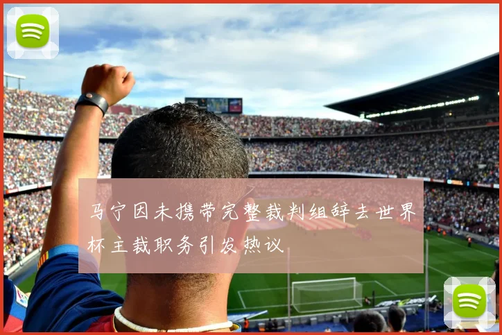 马宁因未携带完整裁判组辞去世界杯主裁职务引发热议
